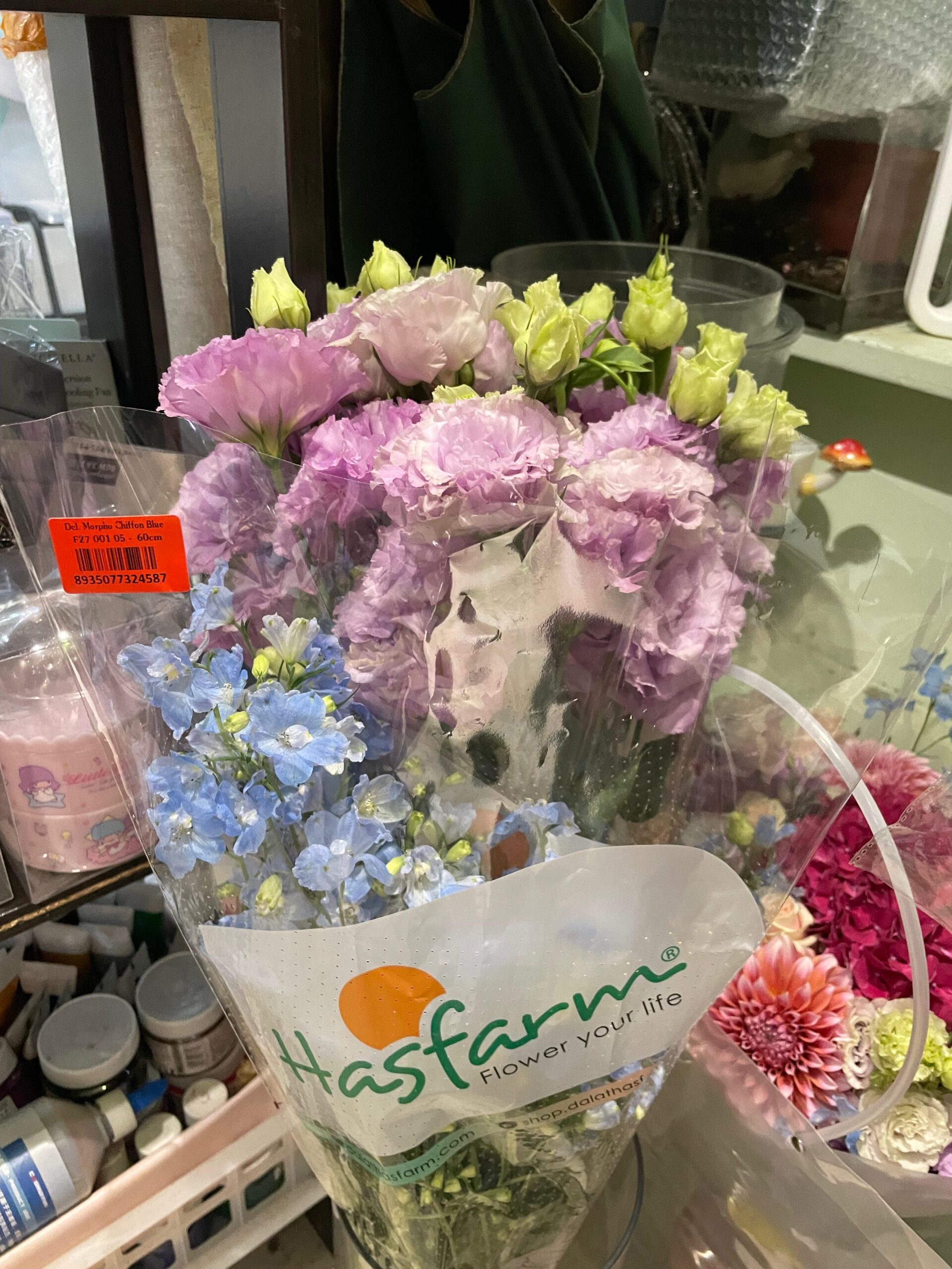 916e5ddb-c070-4d93-977d-a97ecfb2bf77